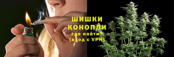 прущие грибы Кодинск