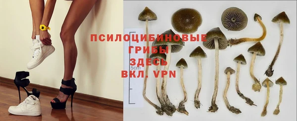 мет Козловка