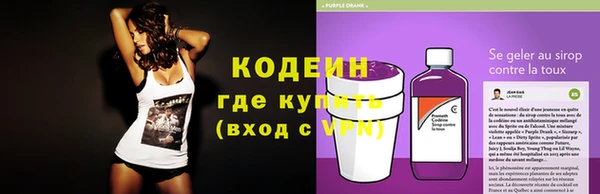 прущие грибы Кодинск