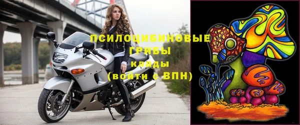 прущие грибы Кодинск
