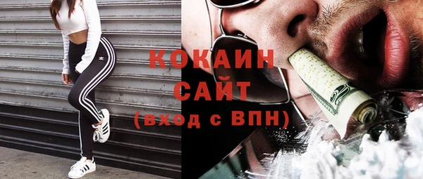 прущие грибы Кодинск