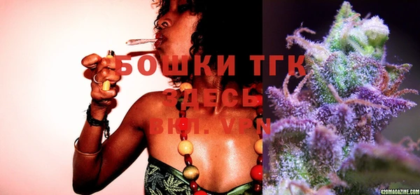 прущие грибы Кодинск