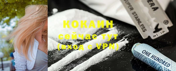 прущие грибы Кодинск