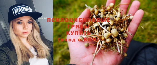 мет Козловка
