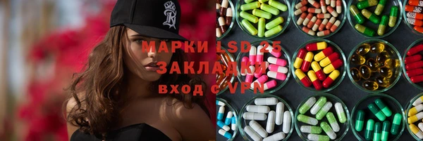 прущие грибы Кодинск