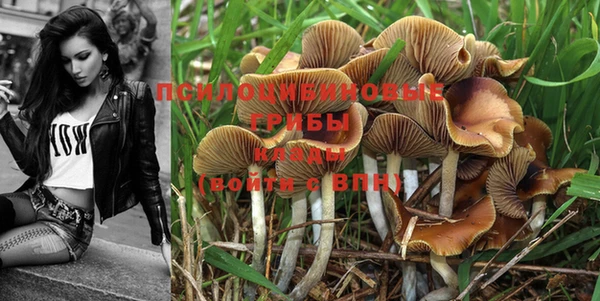 мет Козловка