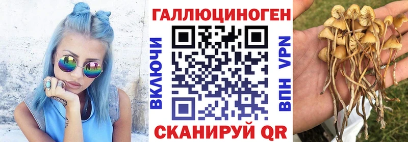 Купить закладки Павловск Псилоцибиновые грибы мухоморы