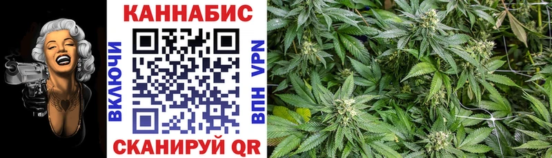Купить  Павловск  Канабис семена 